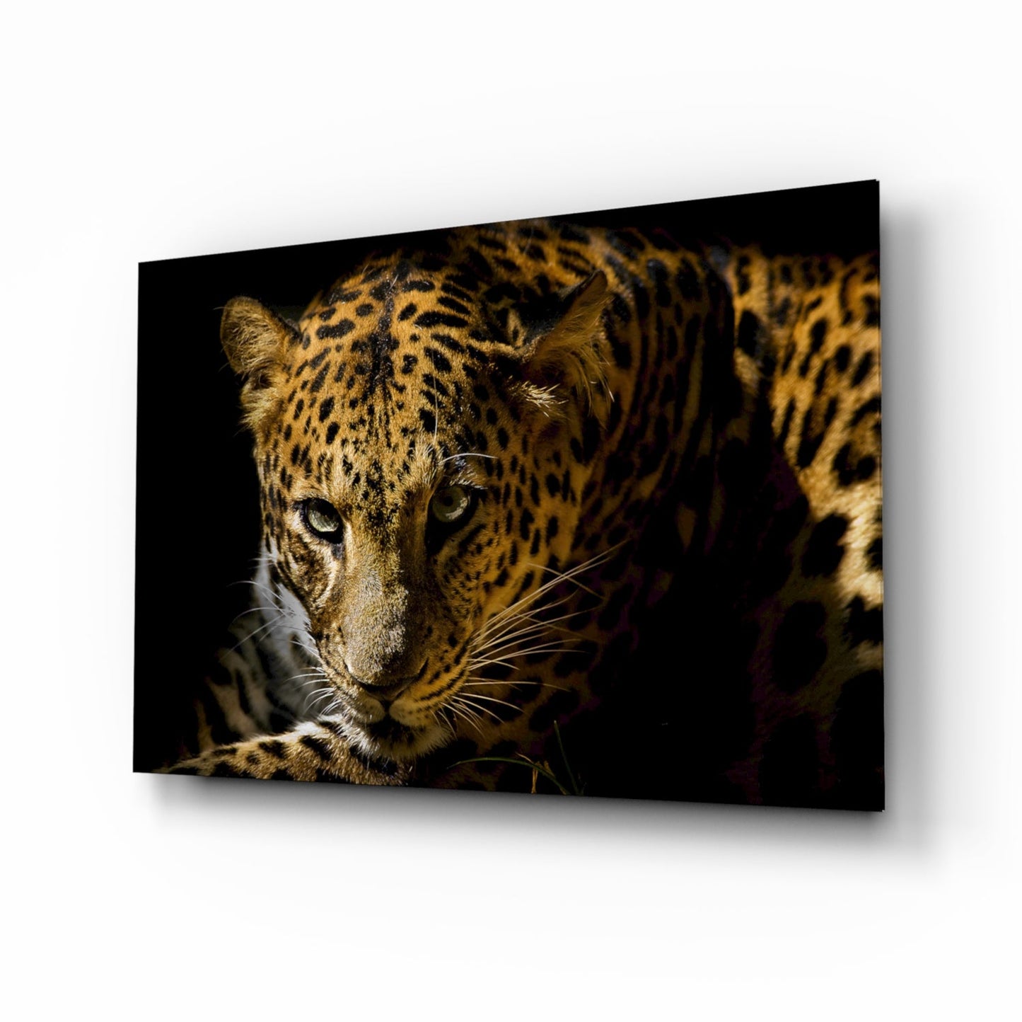 Leopar Glass Wall Art