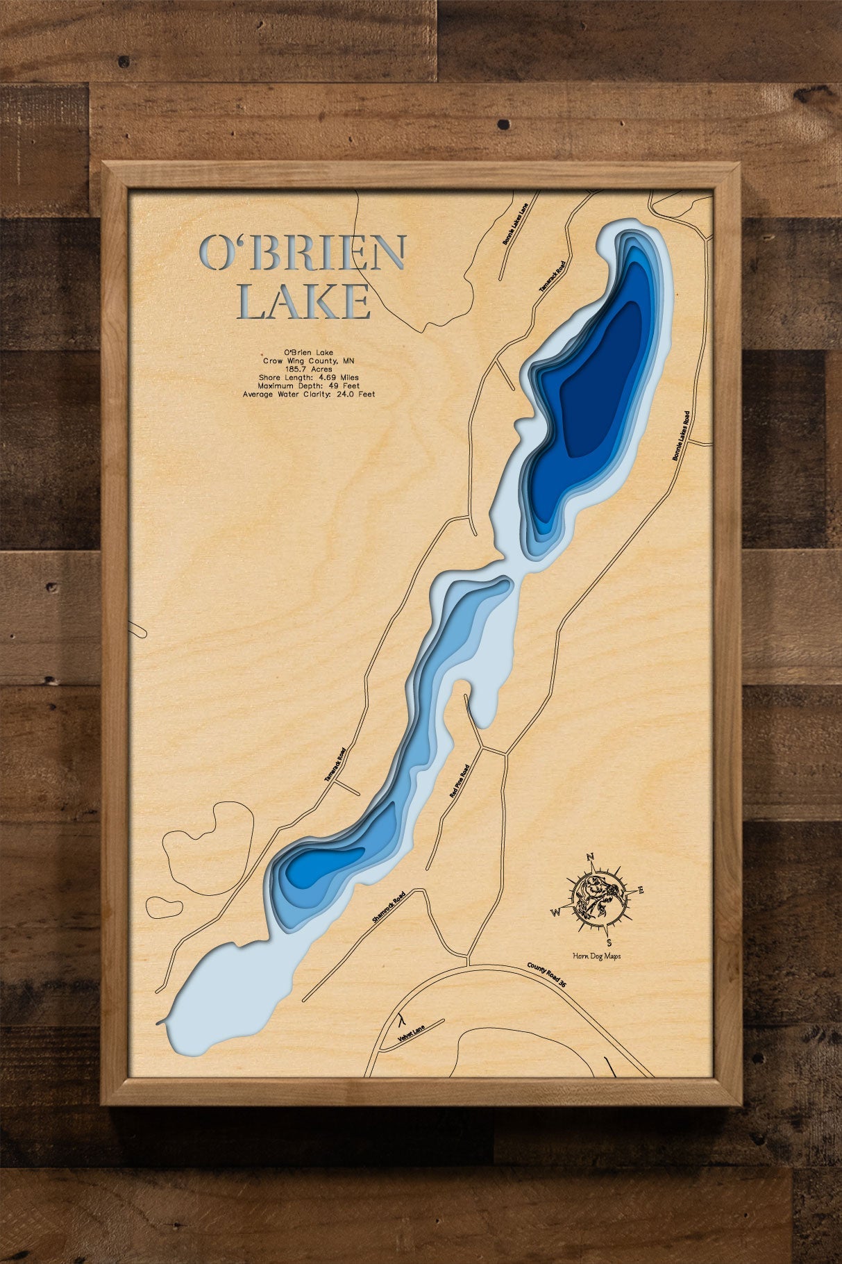 O'Brien Lake in Crow Wing County, Minnesota
