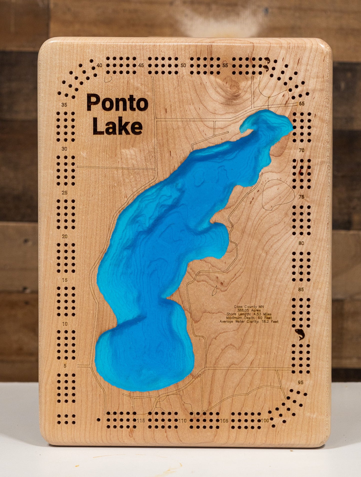 Ponto Lake in Cass County, Minnesota