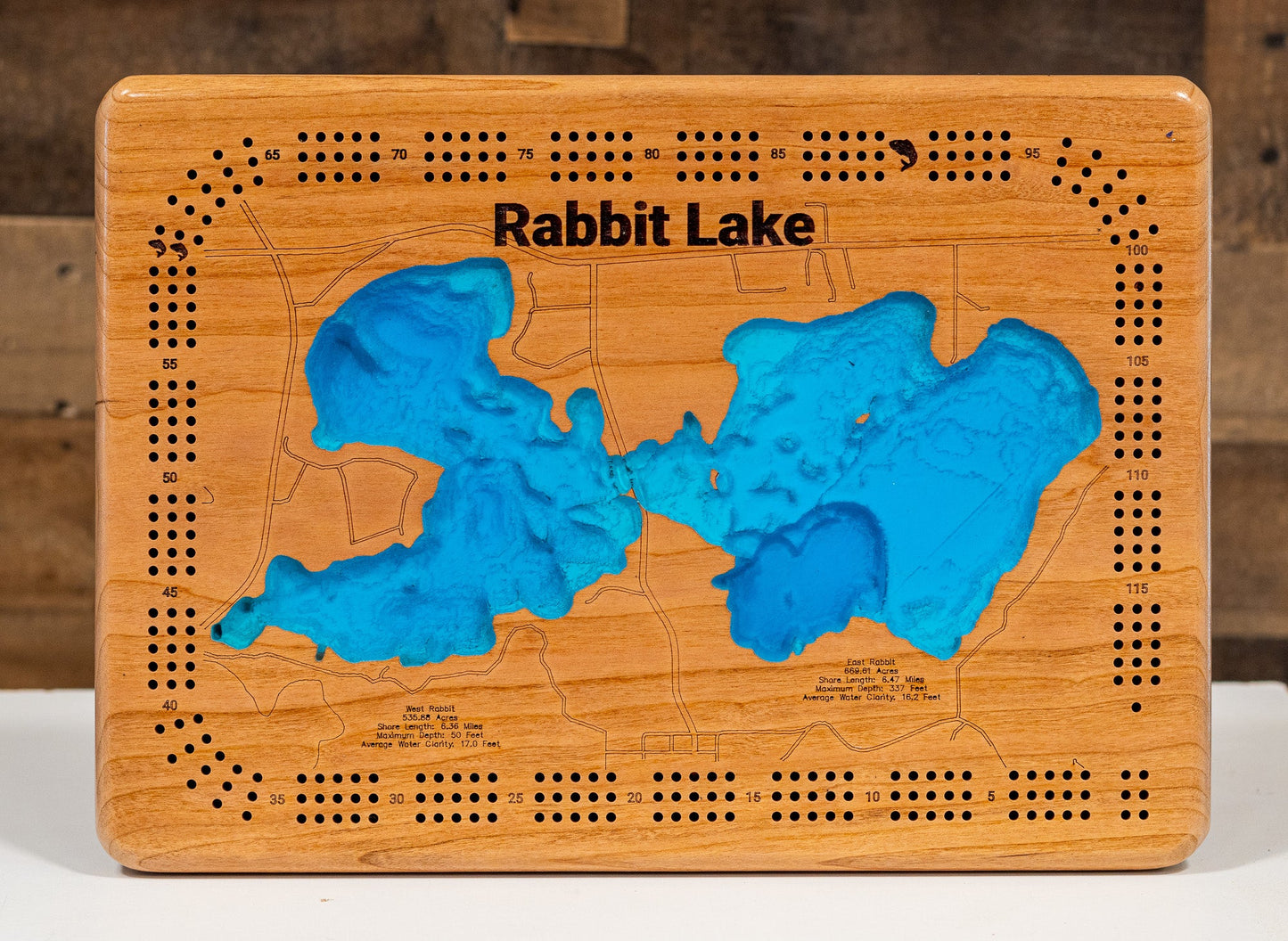 Rabbit Lake in Crow Wing County, Minnesota