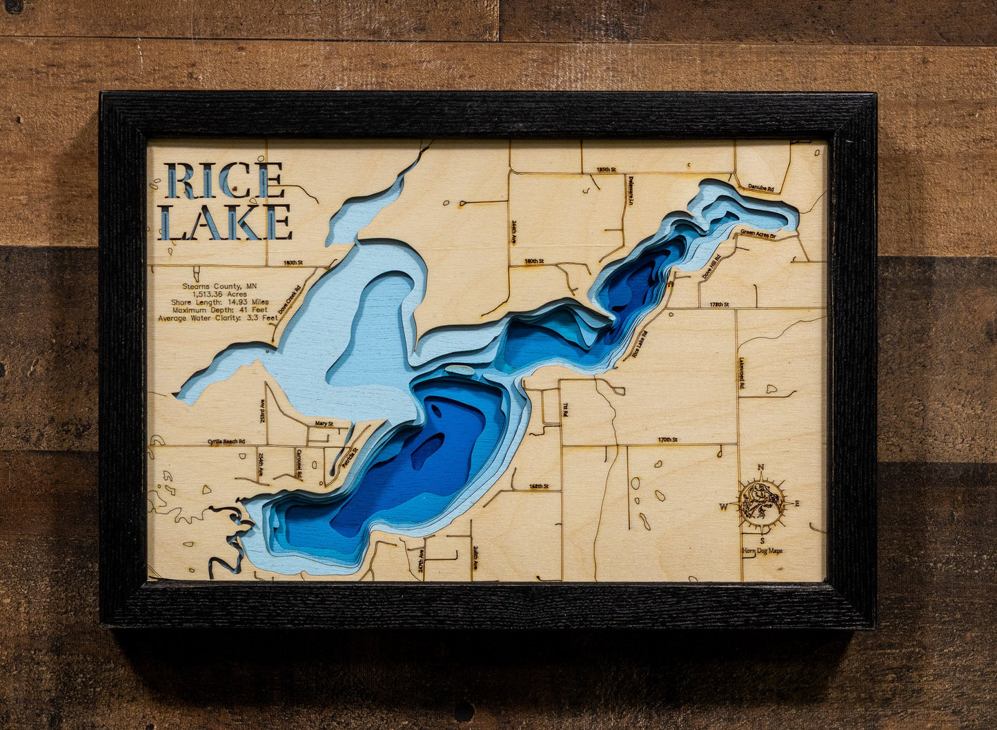 Rice Lake in Stearns County, Minnesota