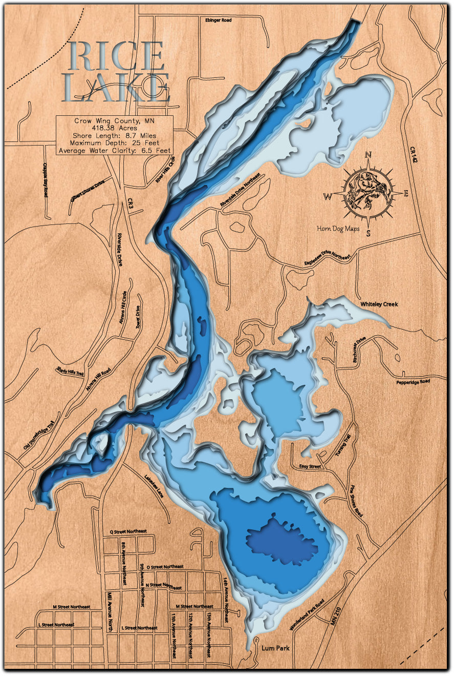 Rice Lake in Crow Wing County, Minnesota