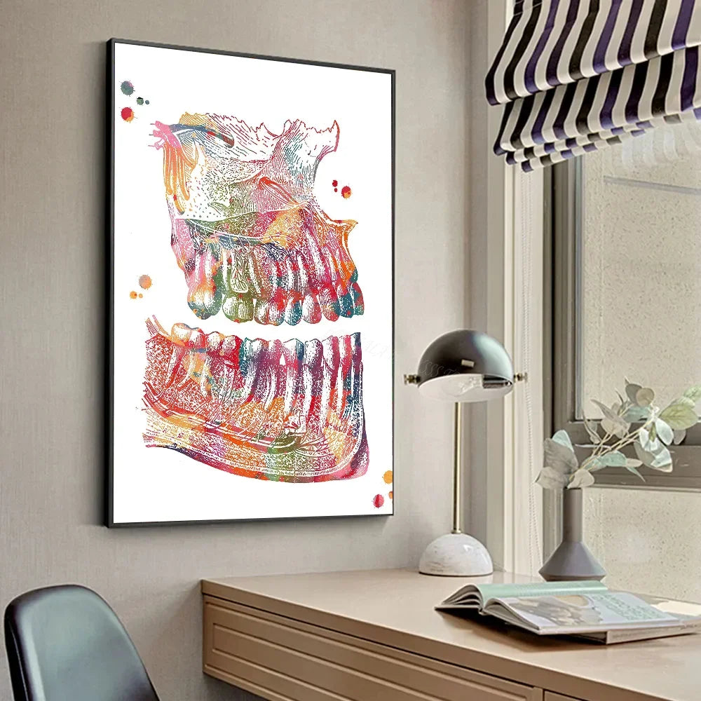 Anatomy Human Teeth Art Posters Teeth Row Teeth Illustra Poster HD Posters Home Room Bar Cafe Decor Art Wall Painting Picture