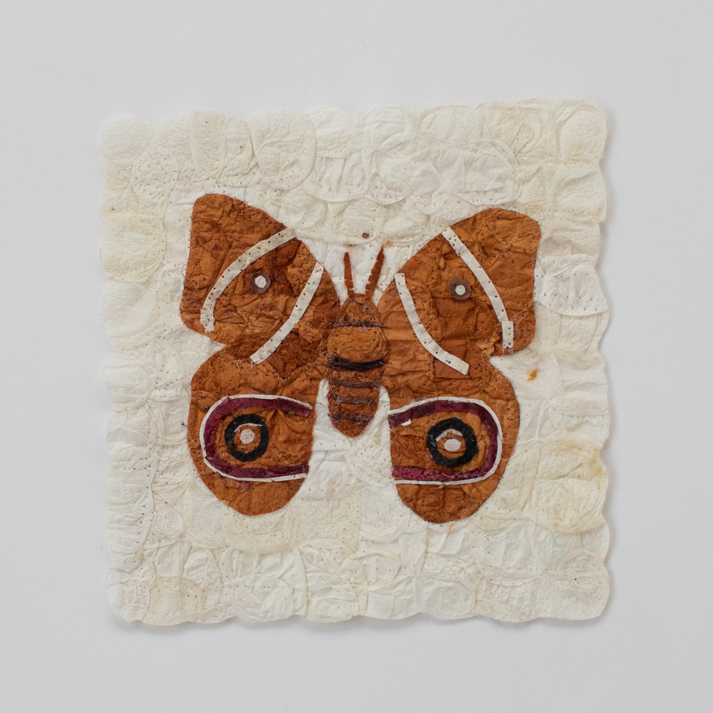 Mini Moth - Antherina suraka