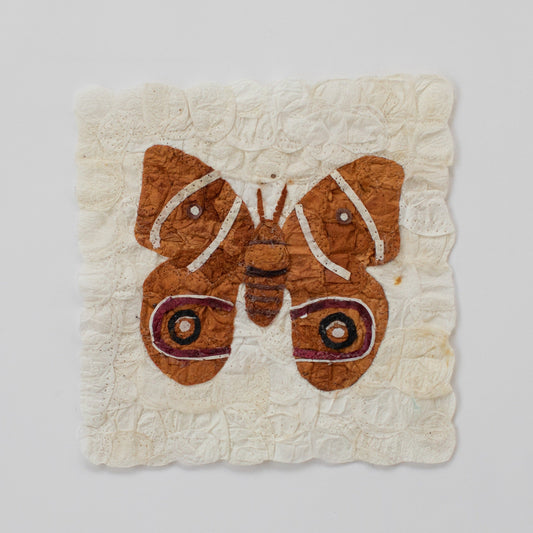 Mini Moth - Antherina suraka