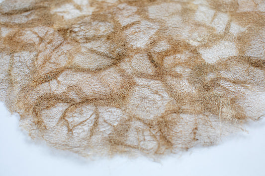Wild Silk Charger (Pair) - Ceranchia Open