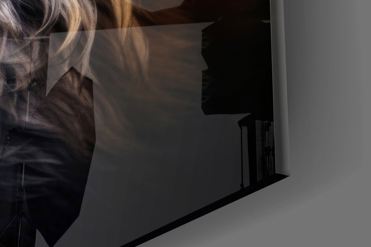 Eyes of the Fox Glass Wall Art || Designer Collection