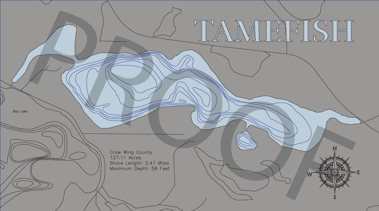 Tamefish Lake in Crow Wing County, Minnesota