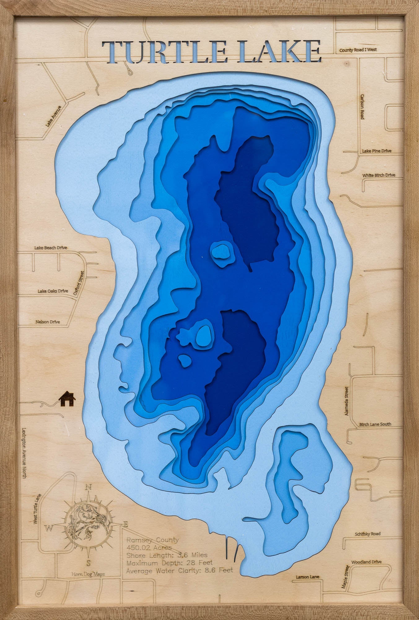 Turtle Lake in Ramsey County, Minnesota