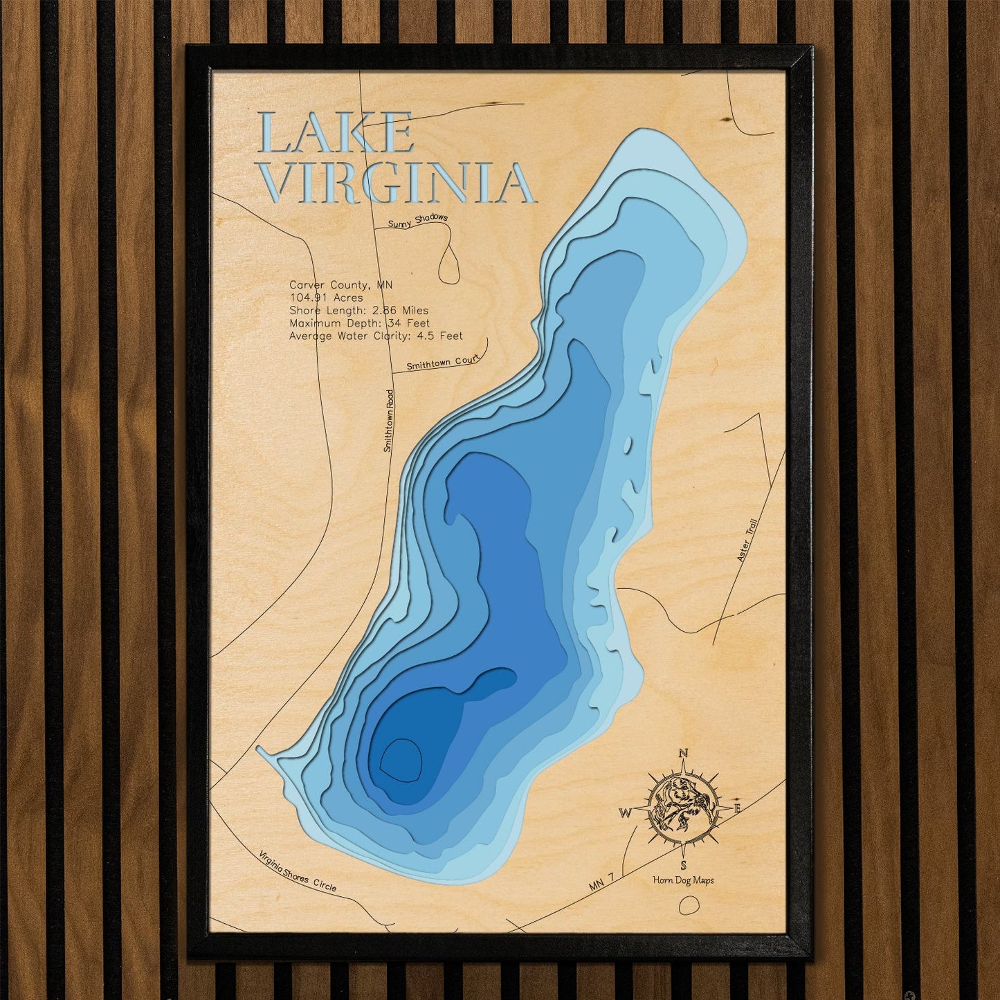 Lake Virginia in Carver County, Minnesota