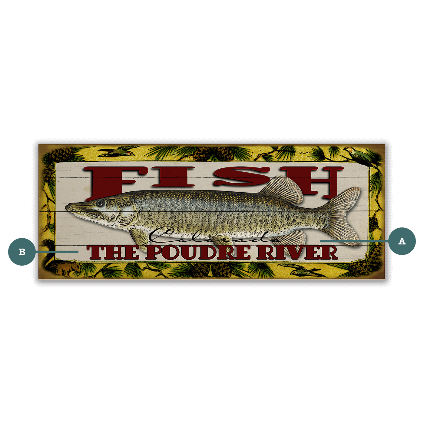 Catch of the Day Freshwater Fishing Sign Wall Decor
