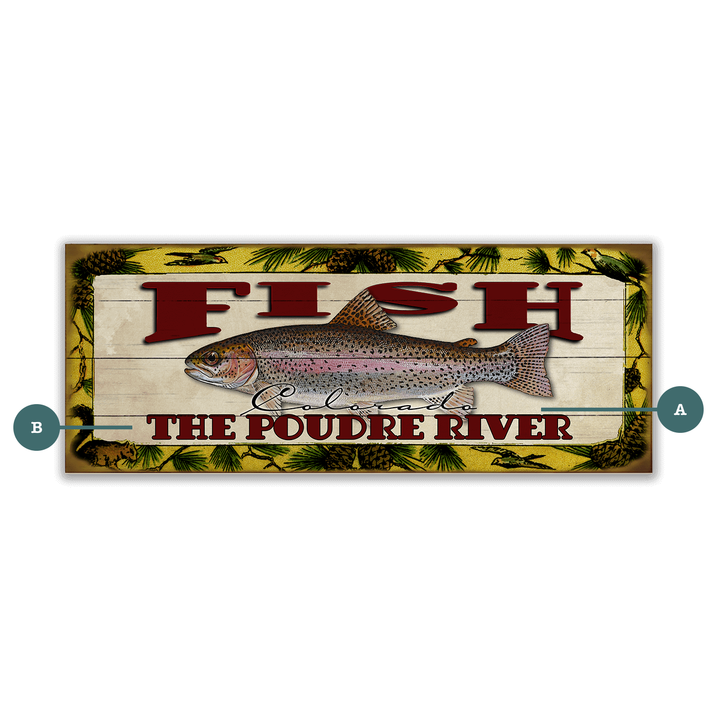 Catch of the Day Freshwater Fishing Sign Wall Decor