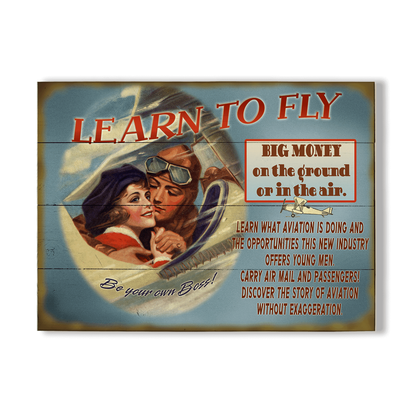 Learn to Fly: Generic - Wood & Metal Wall Art