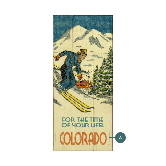 Time of Your Life Downhill Skier - Wood & Metal Wall Art