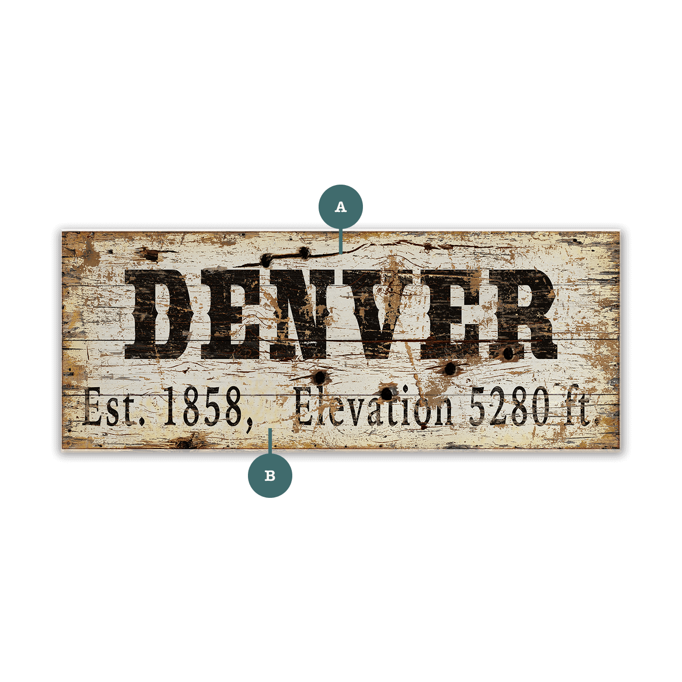 Denver Established & Elevation - Wood & Metal Wall Art