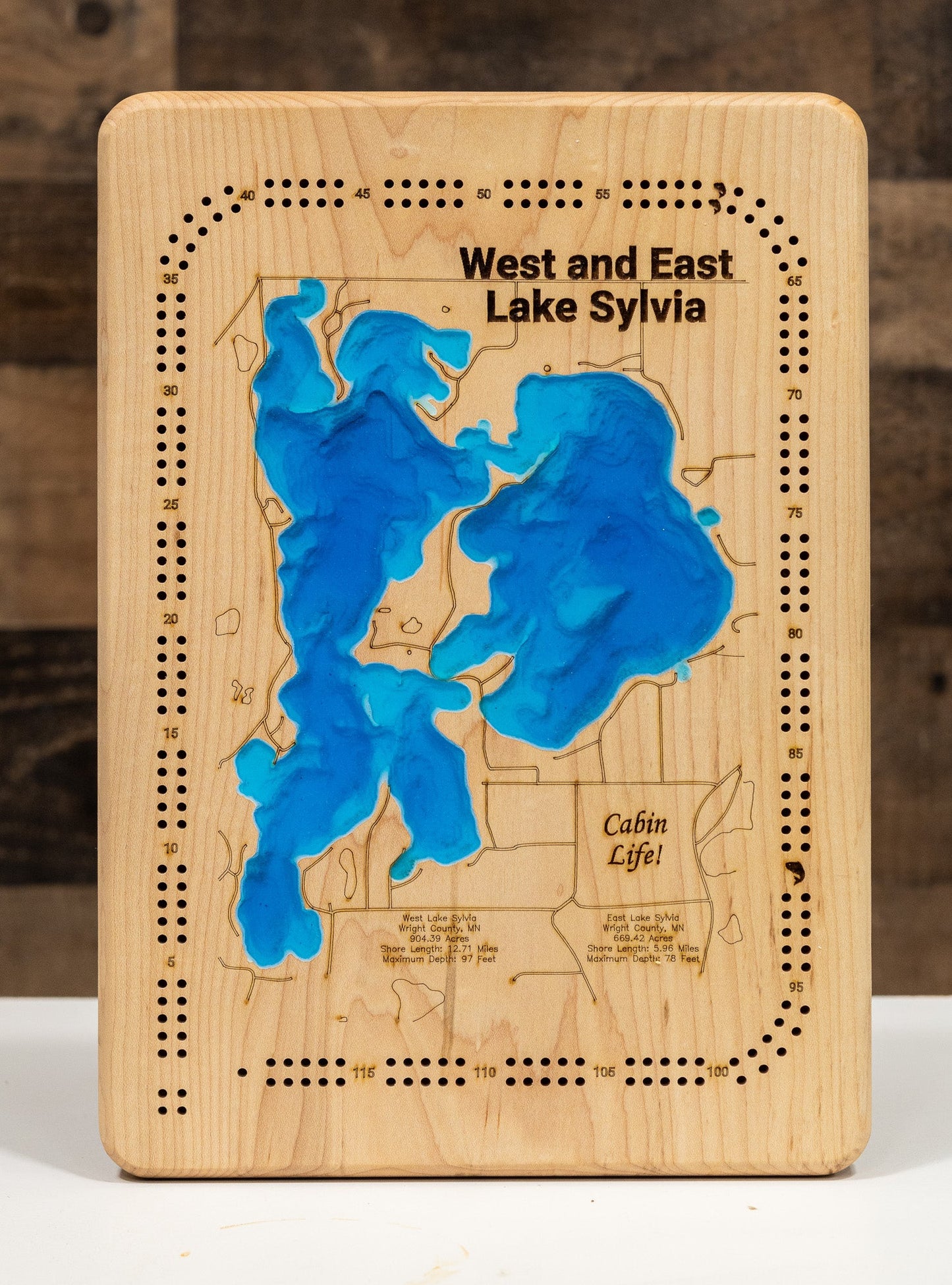 West and East Lake Sylvia in Wright County, Minnesota