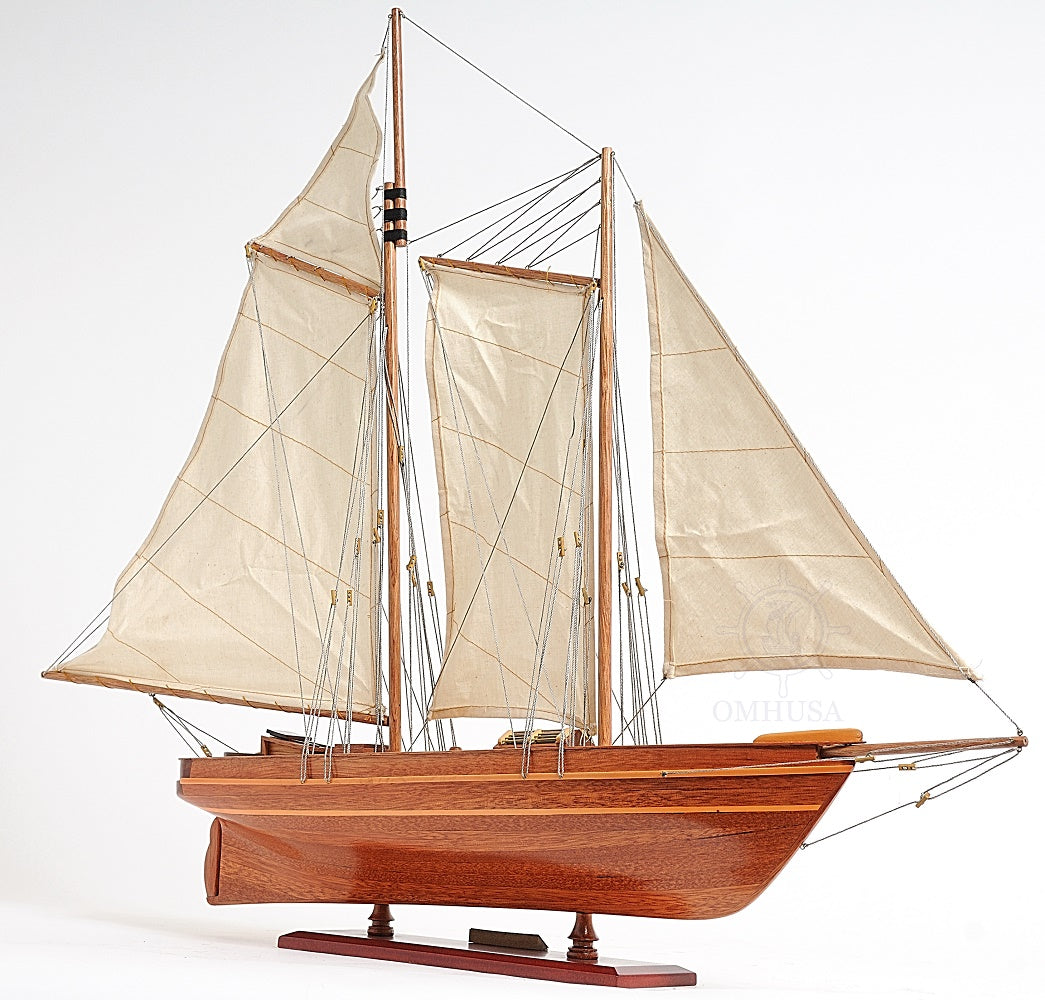 America Cup Racing Yacht Fully Assembled Model