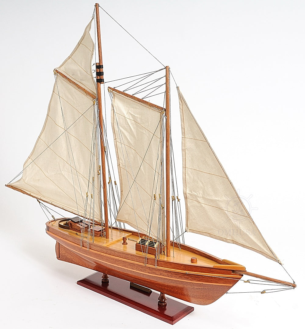 America Cup Racing Yacht Fully Assembled Model