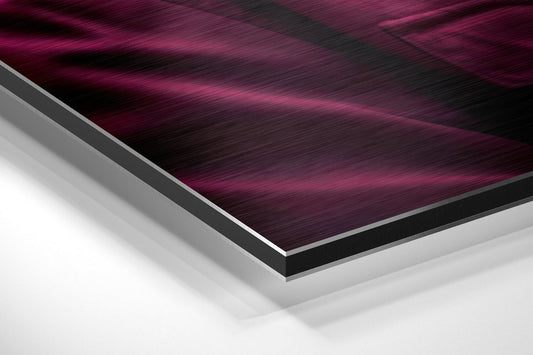 Cool Monkey Brushed Aluminum Dibond Wall Art