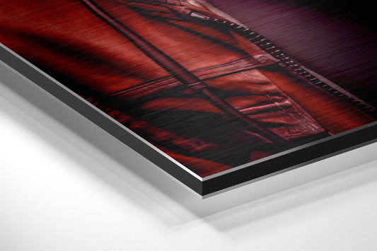Age of Apes Brushed Aluminum Dibond Wall Art