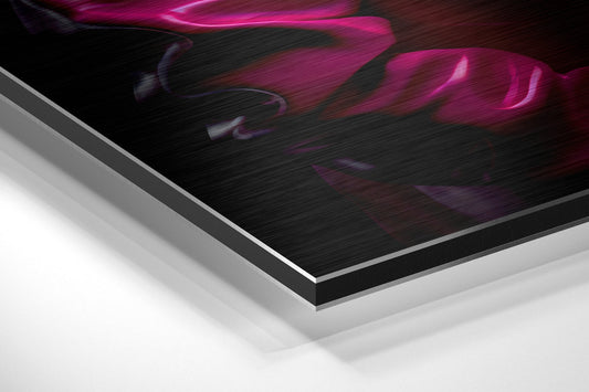 Fashionate Rhino Brushed Aluminum Dibond Wall Art