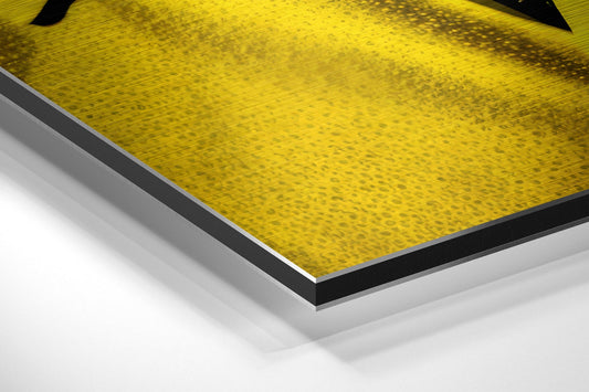 Heisenberg Brushed Aluminum Dibond Wall Art