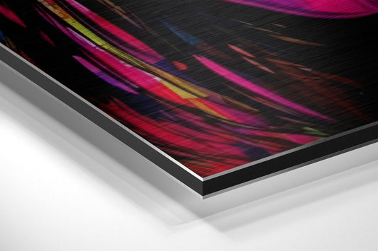Woman Brushed Aluminum Dibond Wall Art