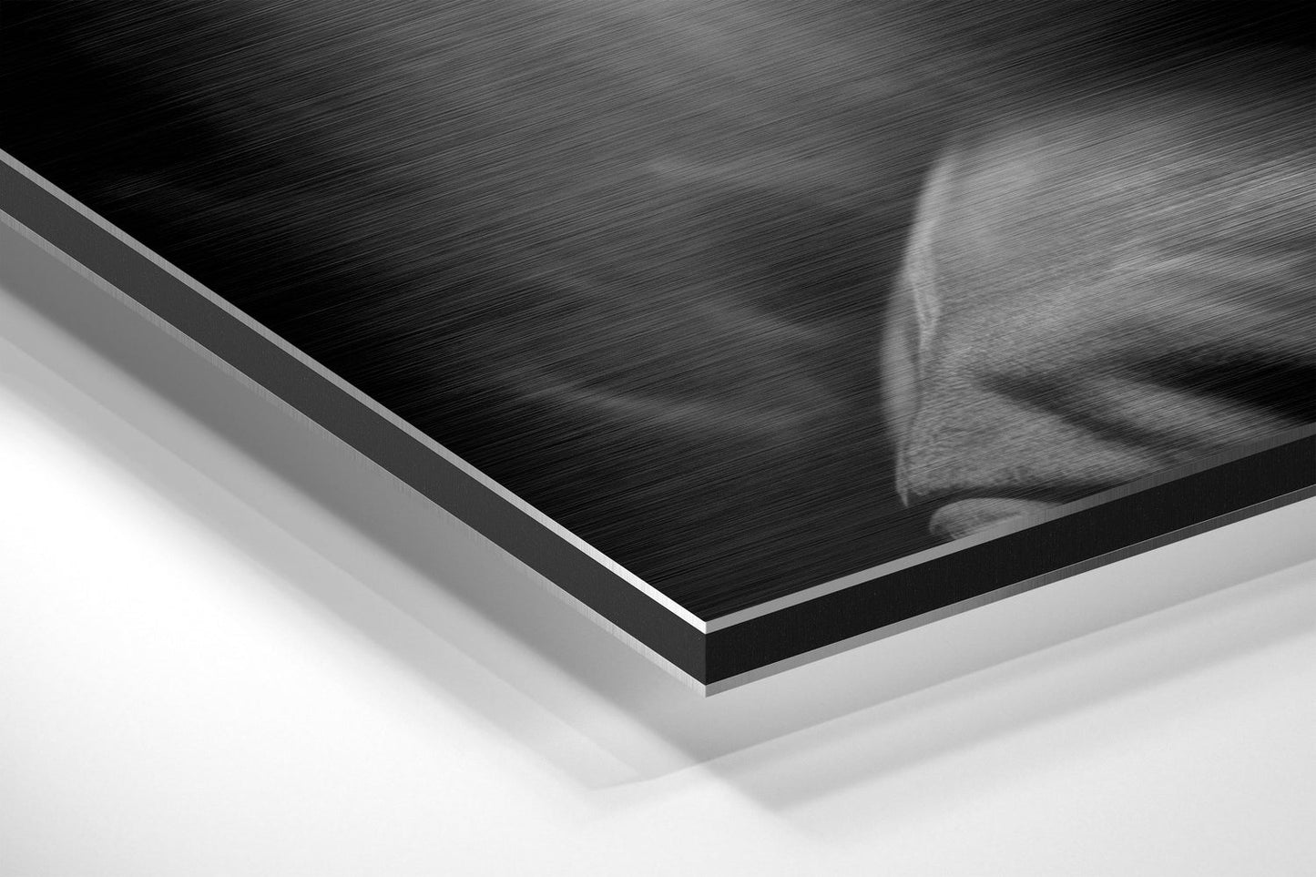Tupac Brushed Aluminum Dibond Wall Art
