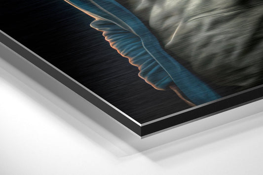 Anger of the Ape Brushed Aluminum Dibond Wall Art