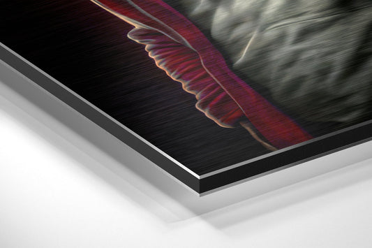 Anger of the Ape Brushed Aluminum Dibond Wall Art