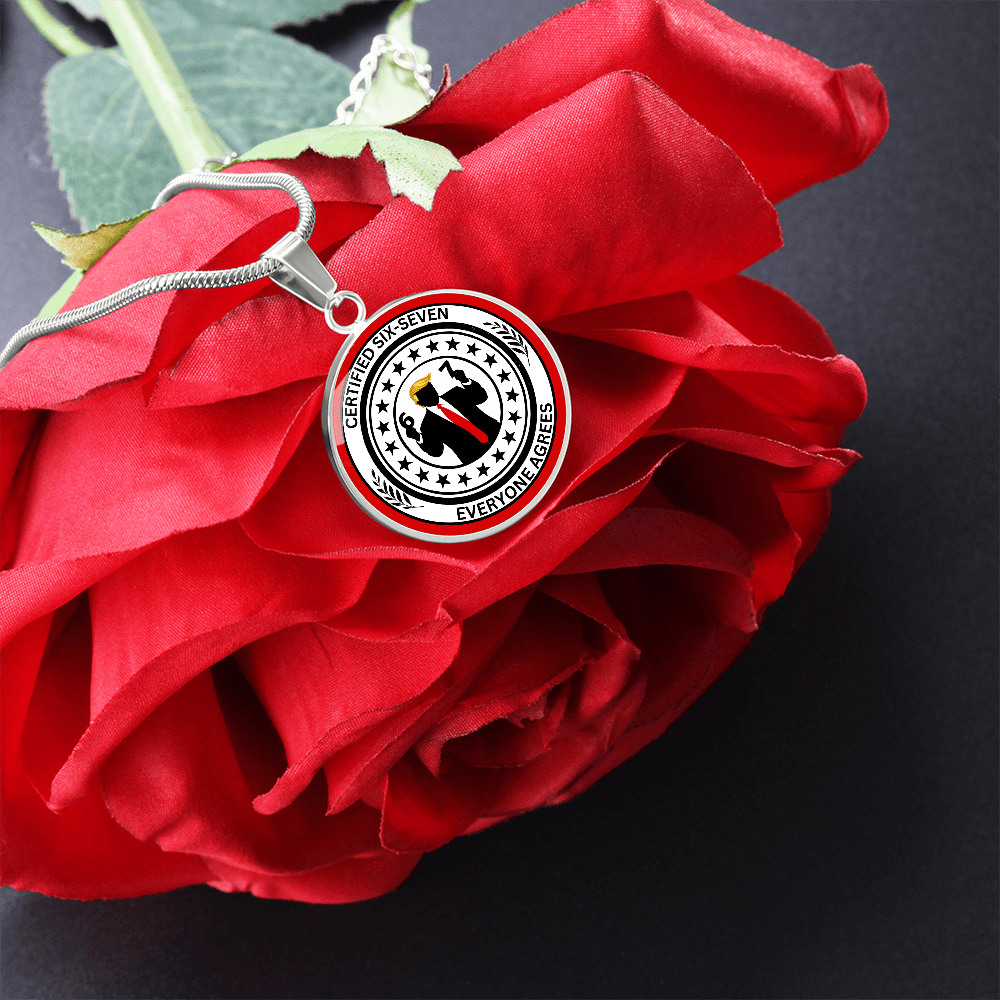Six Seven Circle Necklace – Political Parody Statement Jewelry