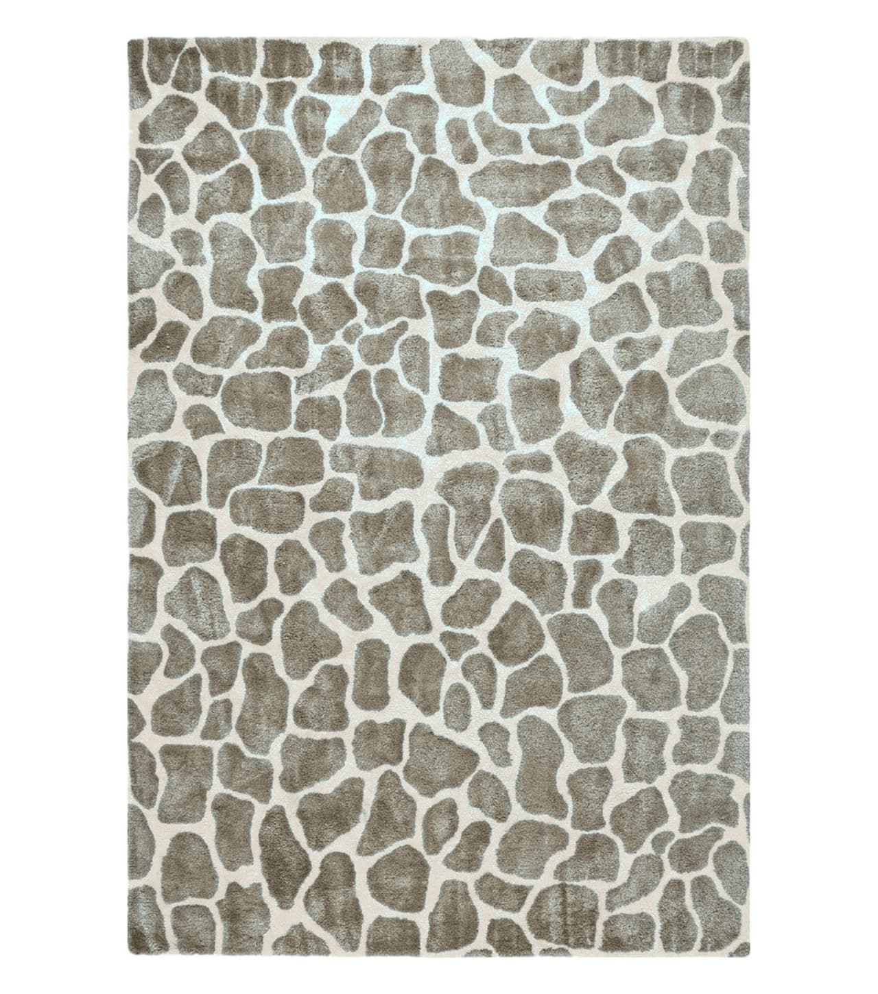 6x9 Safavieh Rug