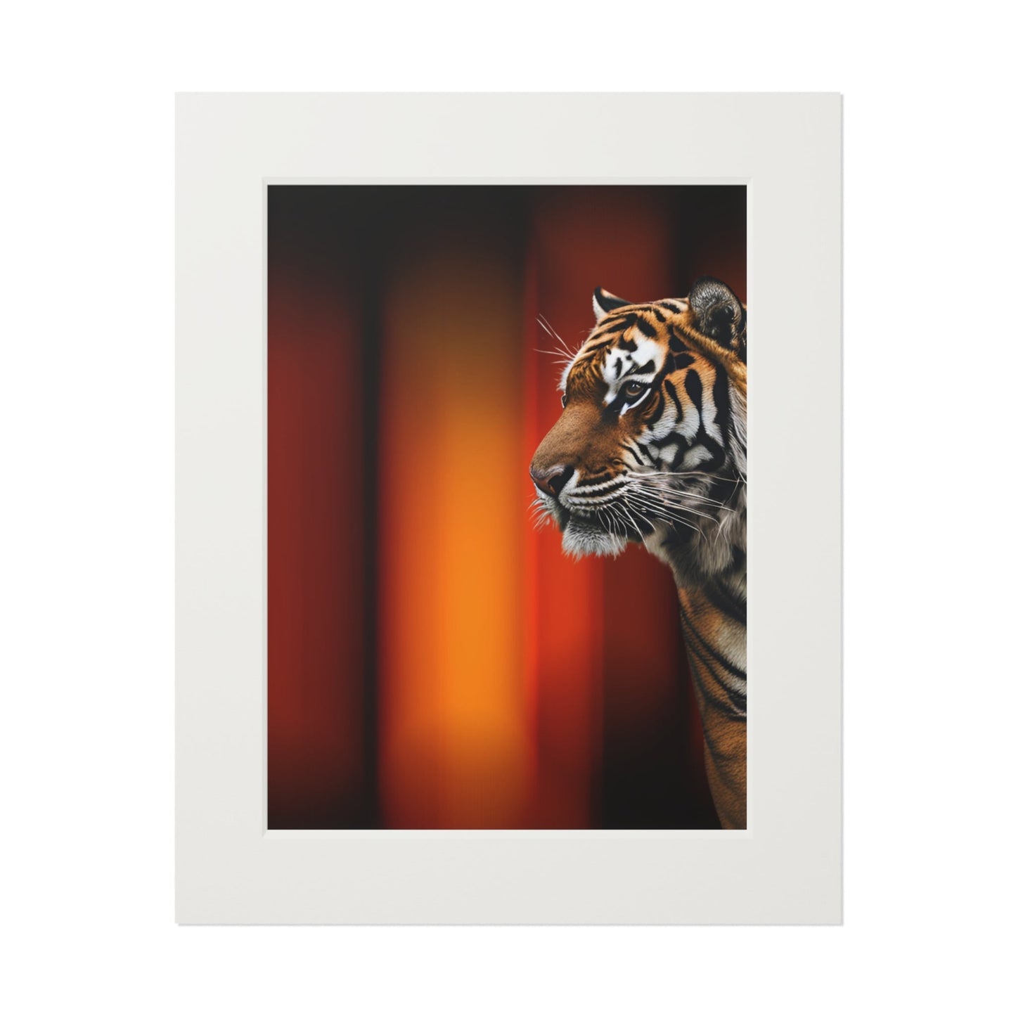 Beautiful Tiger Fine Art Print with Passepartout Frame
