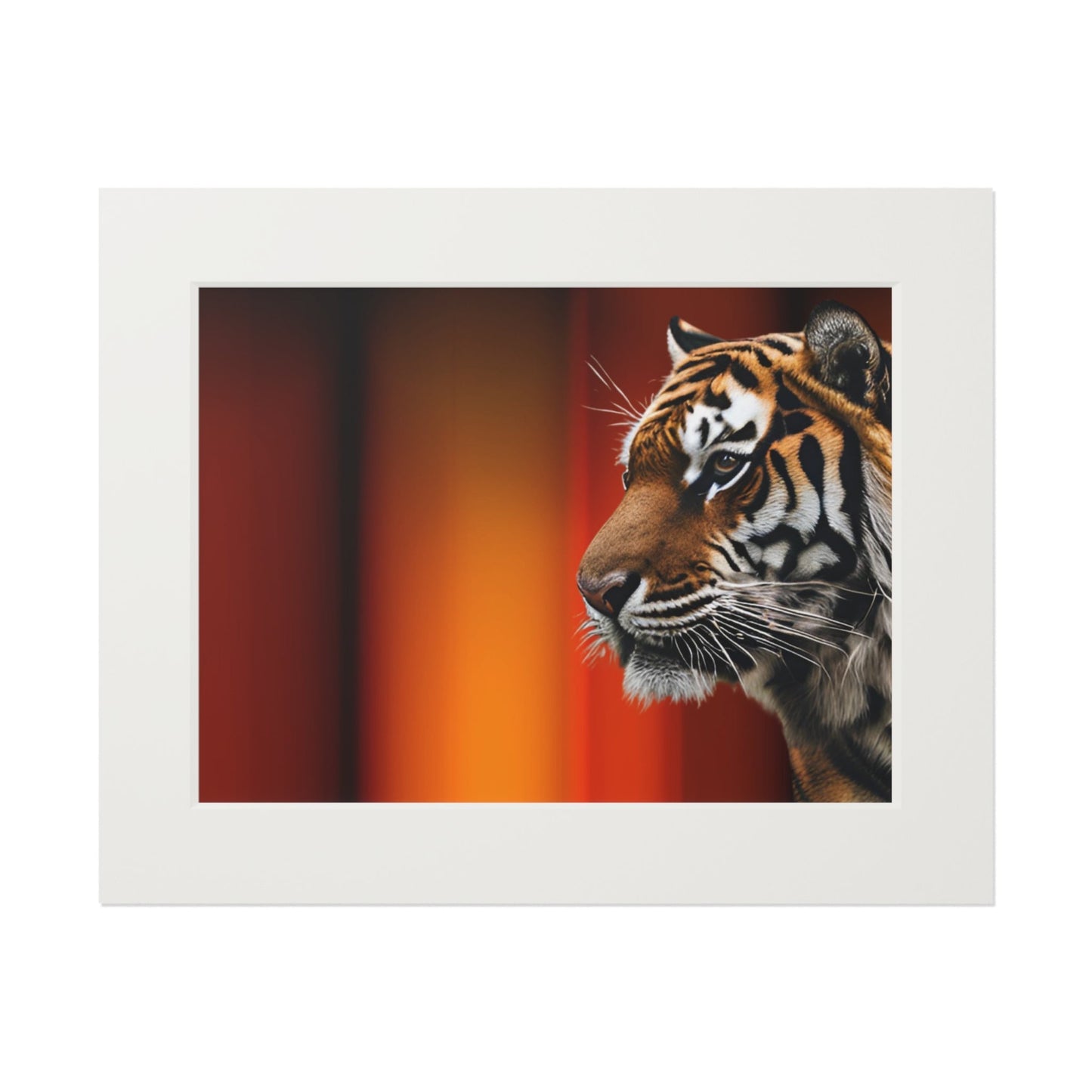 Beautiful Tiger Fine Art Print with Passepartout Frame