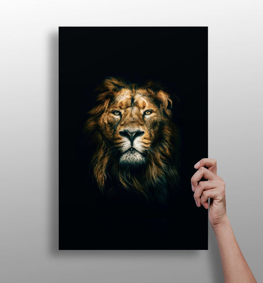 Lion Aluminum Print