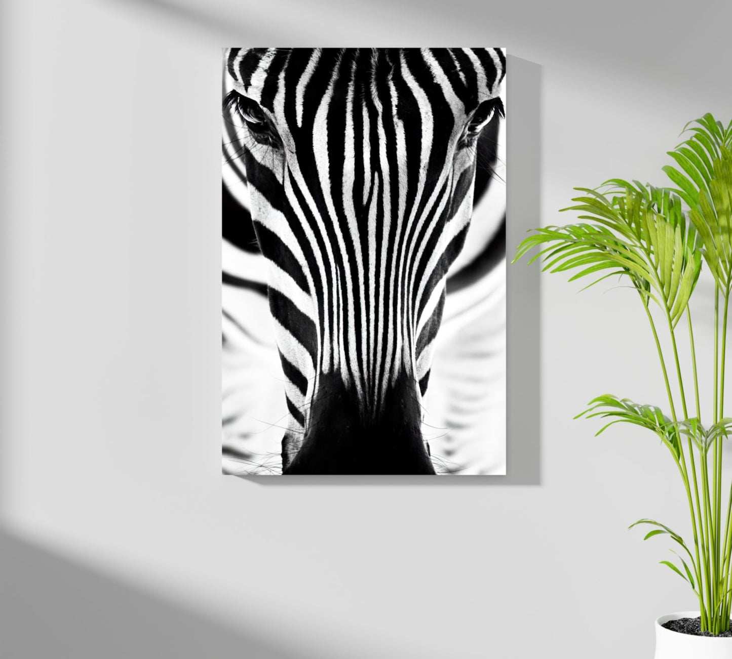 Zebra Portrait Aluminum Print