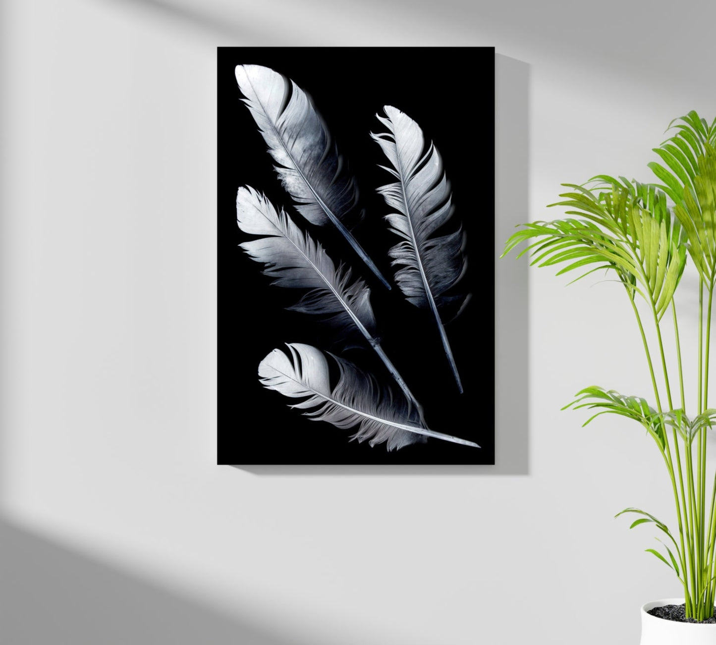 Feathers Aluminum Print