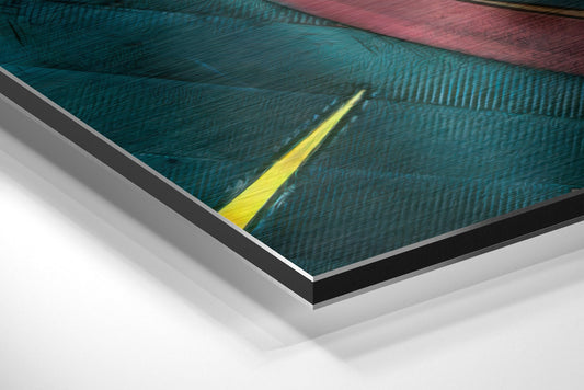 LeBron James Brushed Aluminium Dibond Wall Art