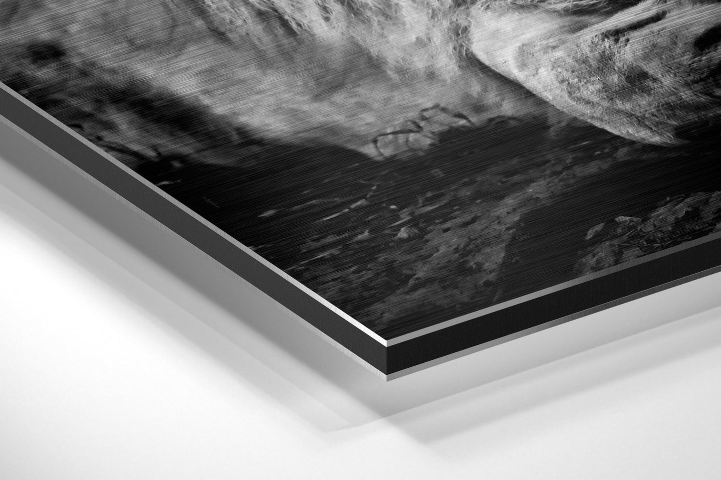 Lion Brushed Aluminium Dibond Wall Art