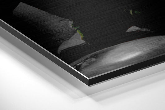 Marilyn, Elvis, Humphrey, James Brushed Aluminium Dibond Wall Art