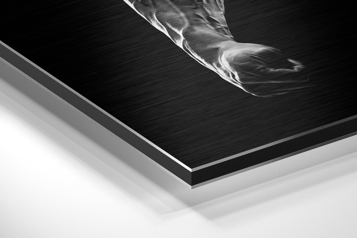 No More Excuses Brushed Aluminium Dibond Wall Art