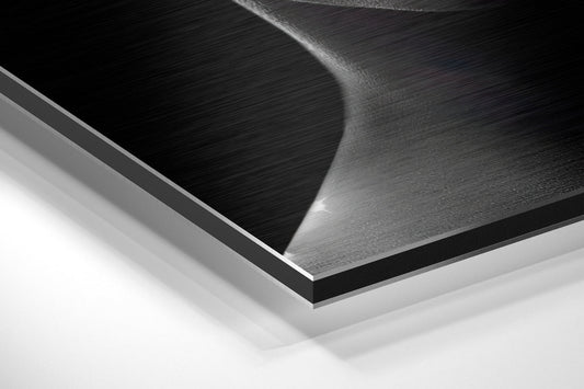 Beauty Brushed Aluminium Dibond Wall Art