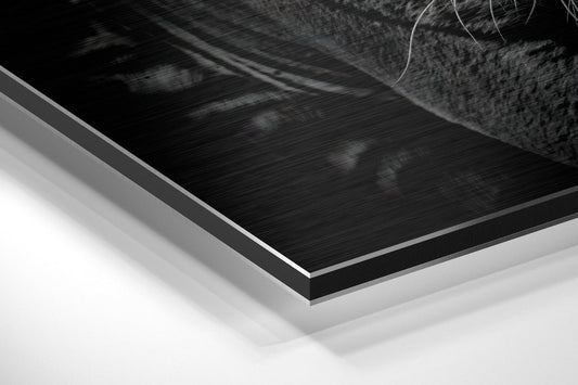 Eye of the Tiger Brushed Aluminium Dibond Wall Art
