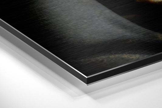 Sssh Brushed Aluminium Dibond Wall Art