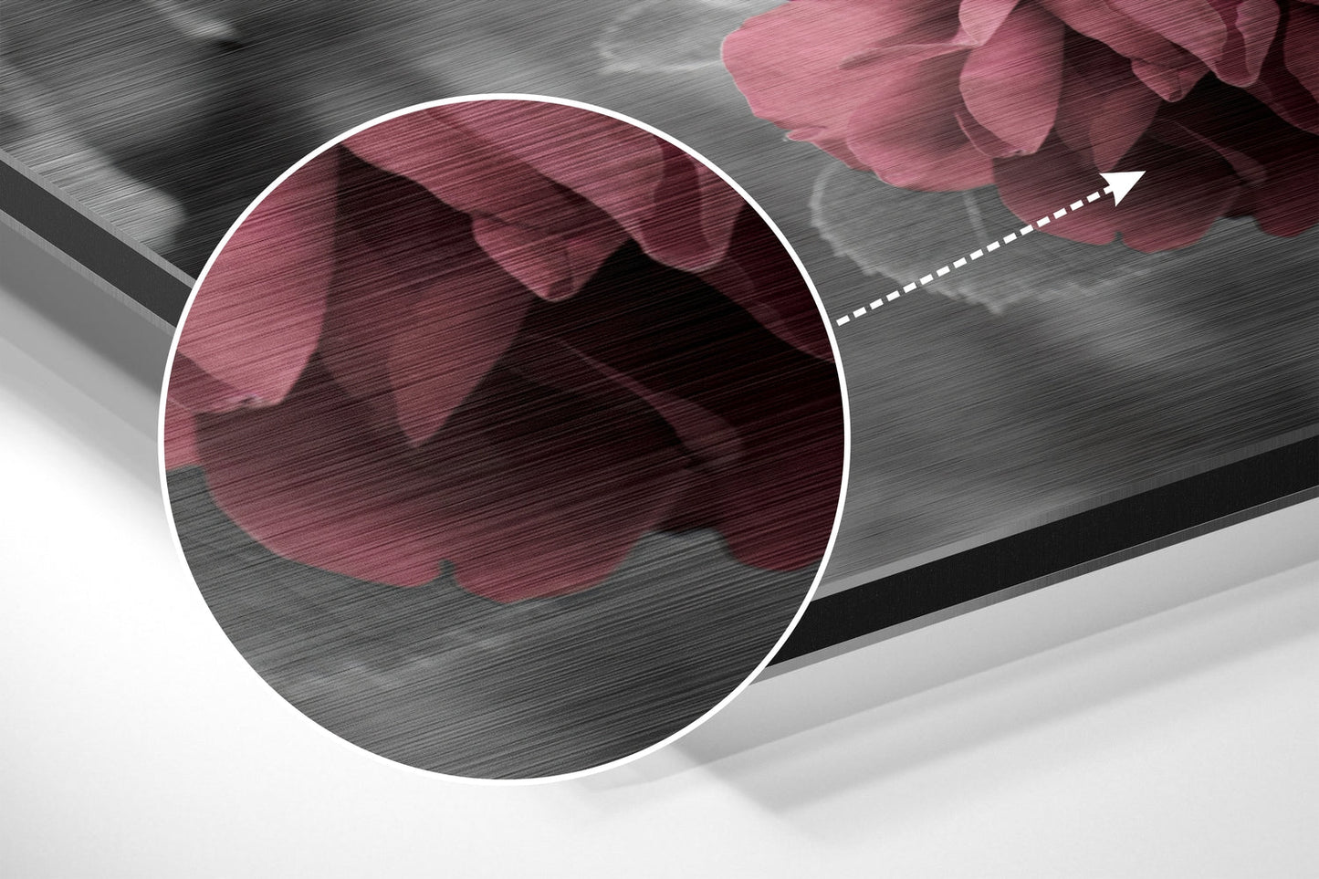 Roses Brushed Aluminium Dibond Wall Art