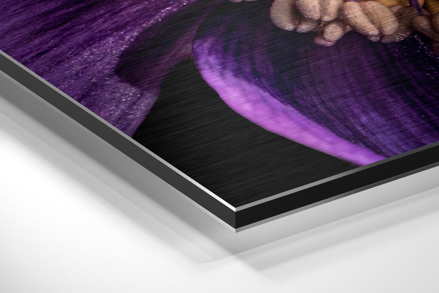 Micro Beauty Brushed Aluminium Dibond Wall Art
