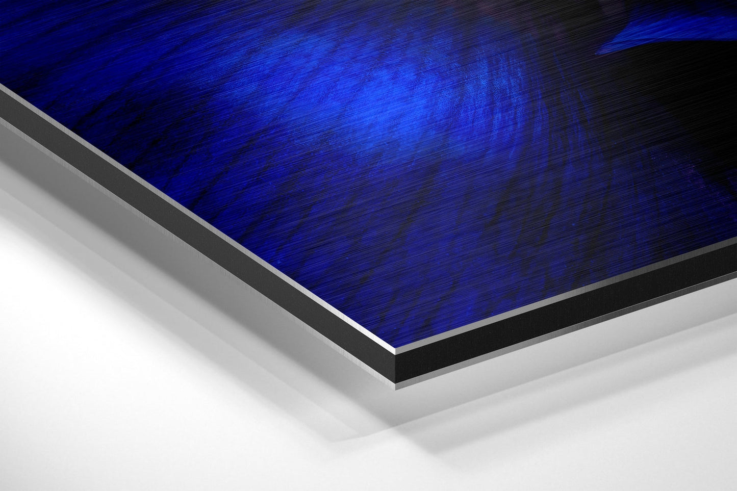 Micro Beauty Brushed Aluminium Dibond Wall Art