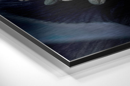 Micro Beauty Brushed Aluminium Dibond Wall Art