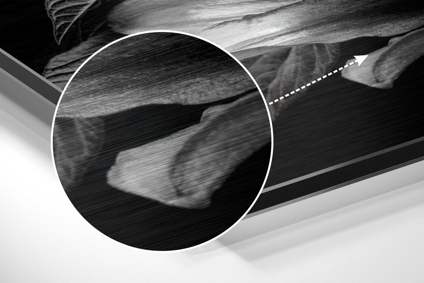 Lillium Brushed Aluminium Dibond Wall Art