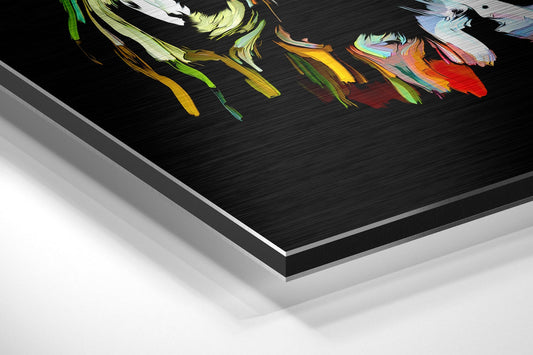Colorful Feelings Brushed Aluminium Dibond Wall Art